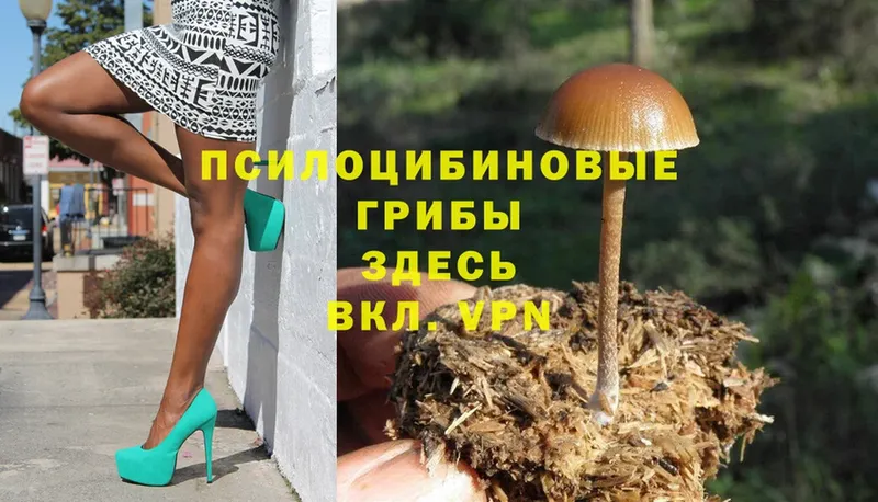 ссылка на мегу   Ливны  Галлюциногенные грибы MAGIC MUSHROOMS 